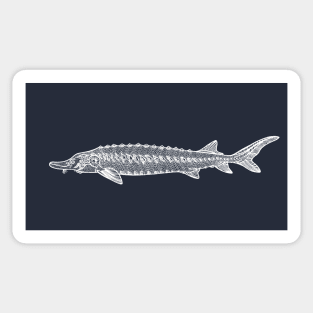 Common Sturgeon fish drawing for animal lovers Sticker